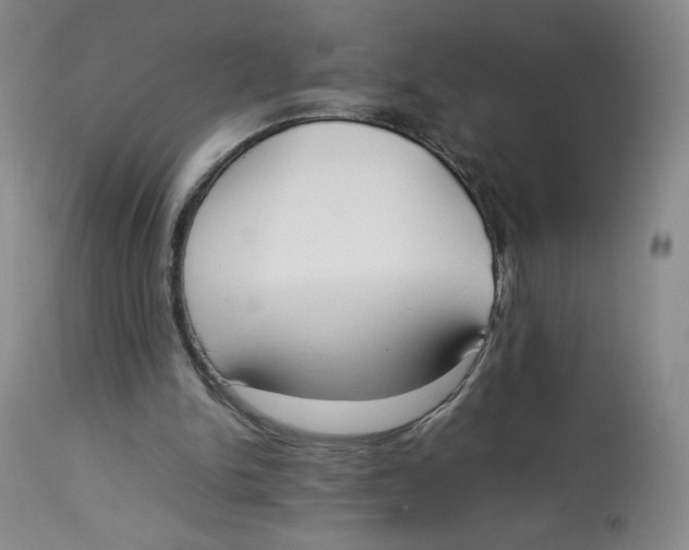 X0000112850150200909111453