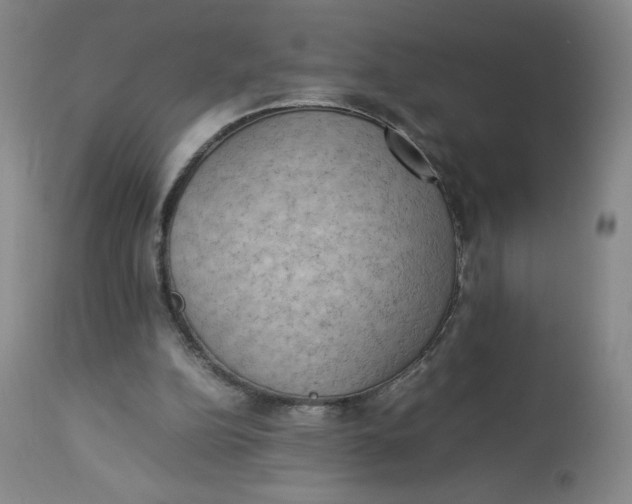 X0000112850152200909111453