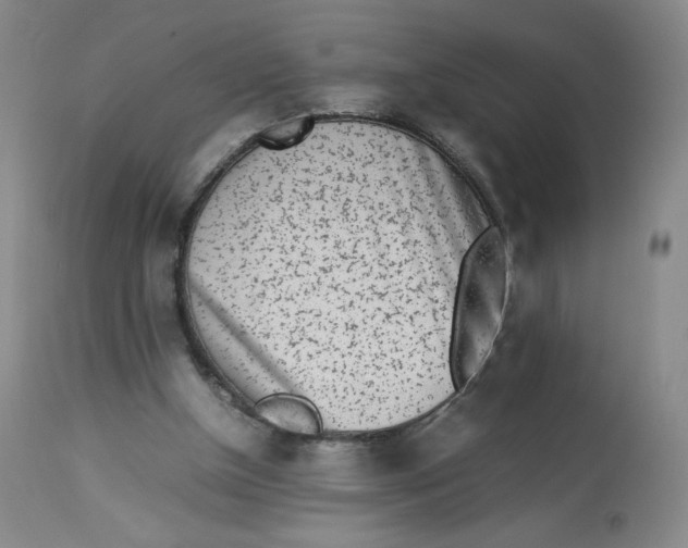 X0000112850154200909111453