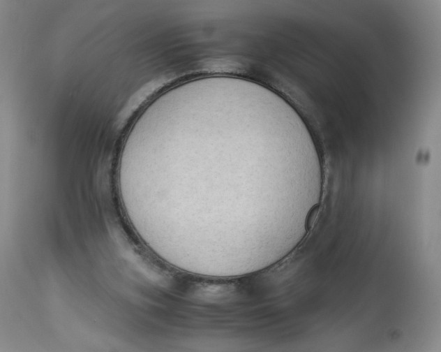 X0000112850155200909111453