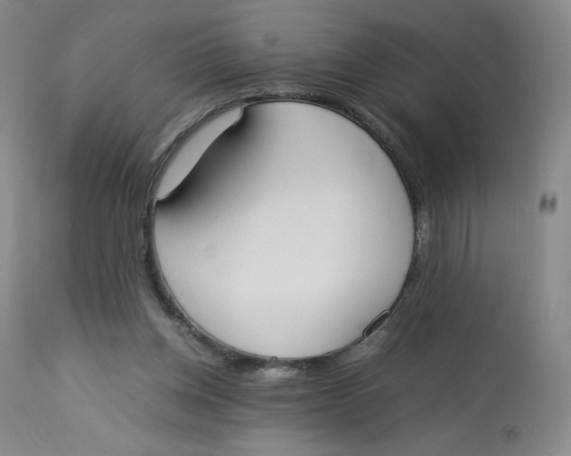 X0000112850158200909111453