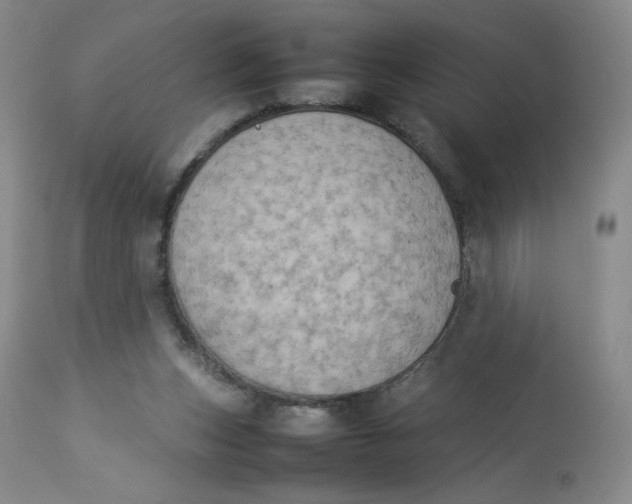 X0000112850159200909111453