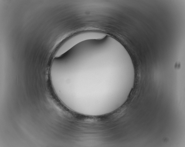 X0000112850160200909111453