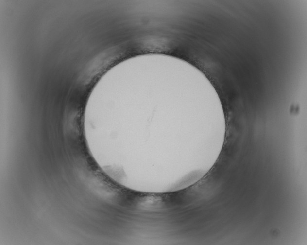 X0000112850162200909111453