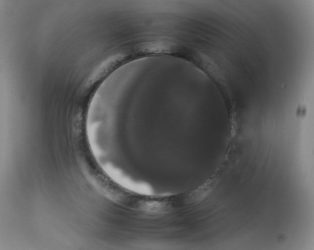 X0000112850163200909111453