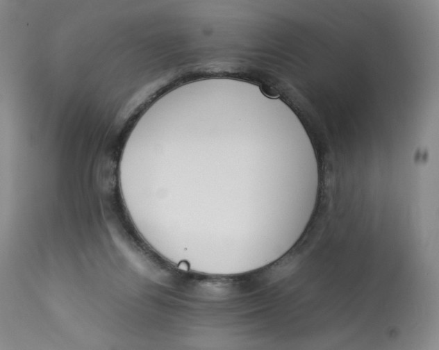 X0000112850164200909111453