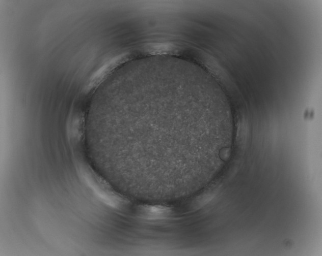 X0000112850165200909111453