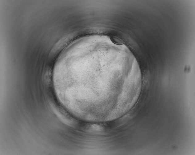 X0000112850166200909111453