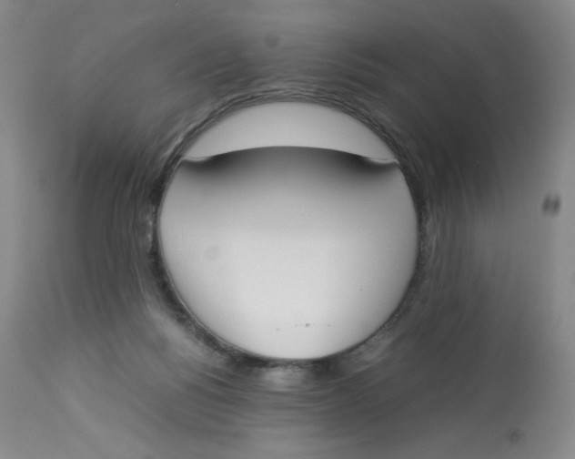 X0000112850168200909111453