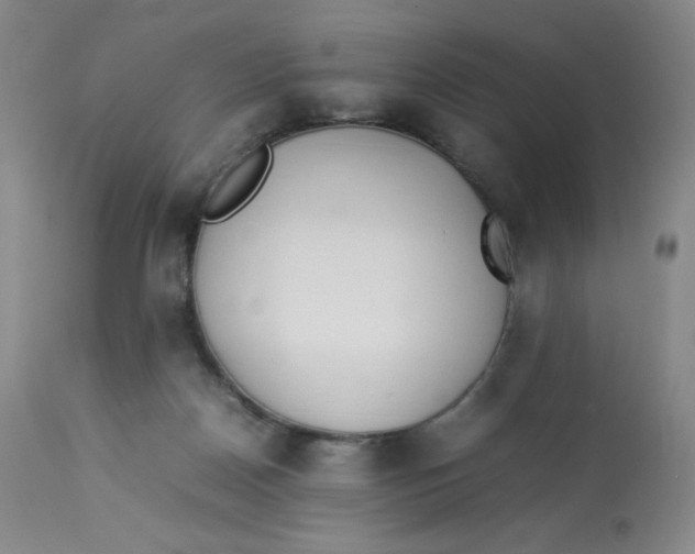 X0000112850170200909111453