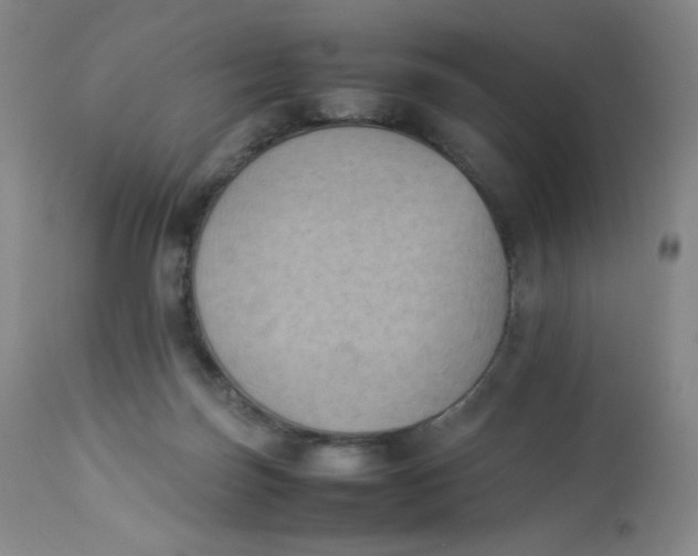 X0000112850171200909111453