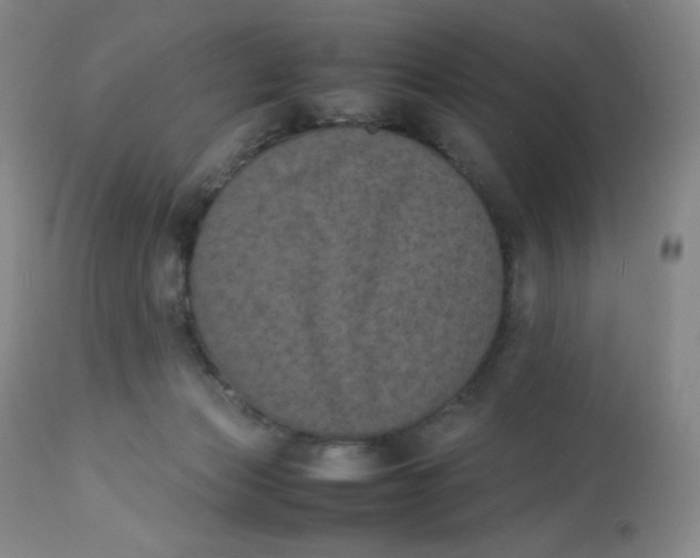 X0000112850173200909111453