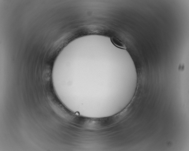 X0000112850174200909111453