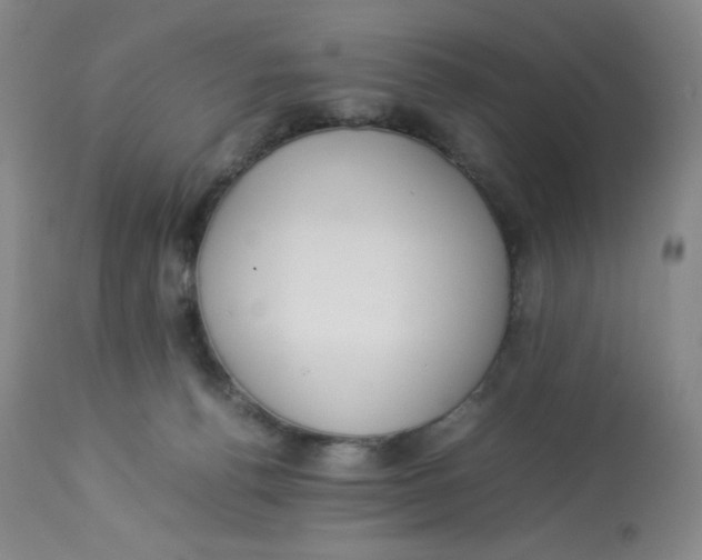 X0000112850176200909111453