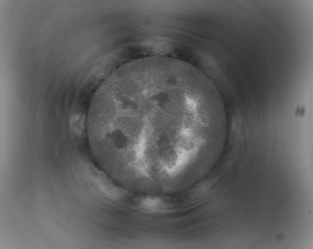 X0000112850177200909111453