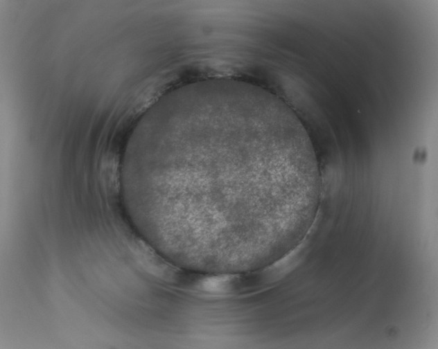 X0000112850178200909111453