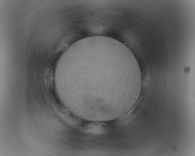 X0000112850179200909111453