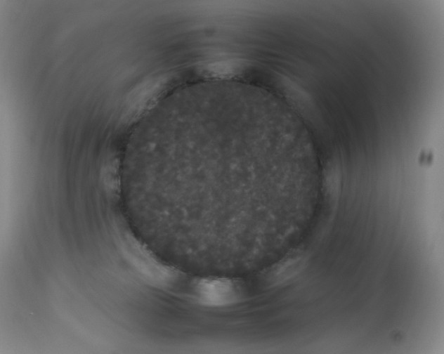 X0000112850181200909111453