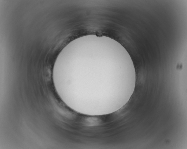 X0000112850183200909111453