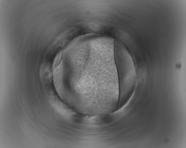 X0000112850186200909111453