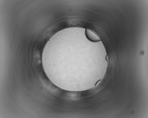 X0000112850187200909111453