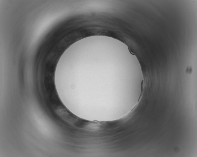 X0000112850190200909111453