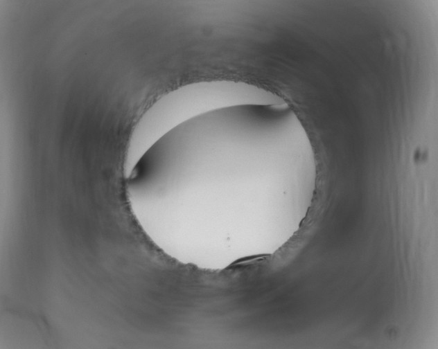 X0000112850192200909111454