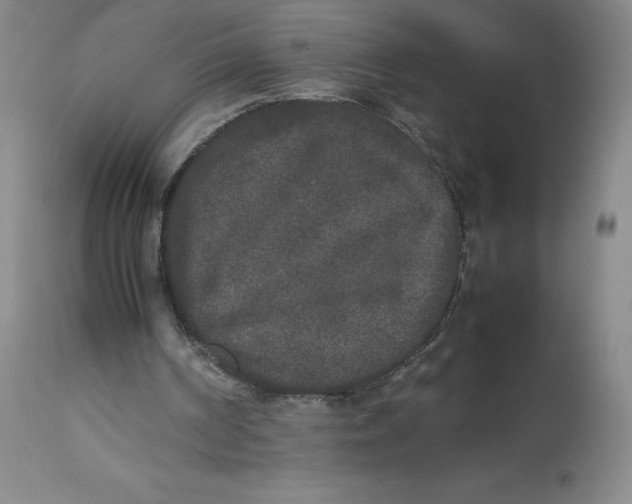 X0000112850194200909111453