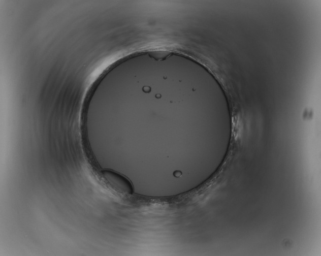 X0000112850196200909111453