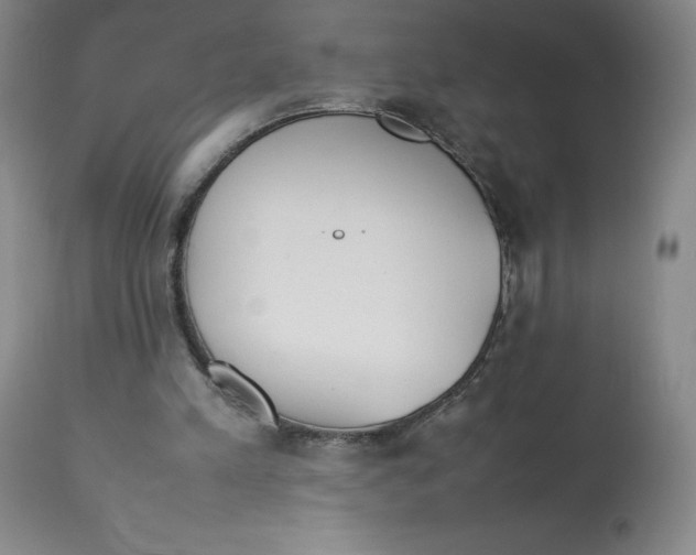 X0000112850197200909111453