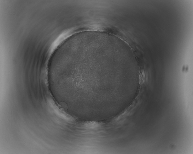 X0000112850198200909111453