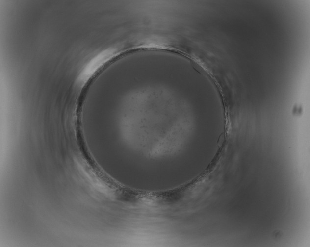 X0000112850199200909111453