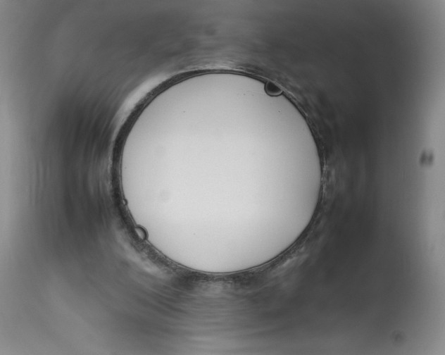 X0000112850200200909111453