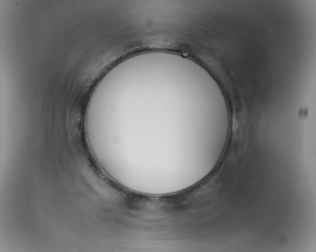 X0000112850201200909111453