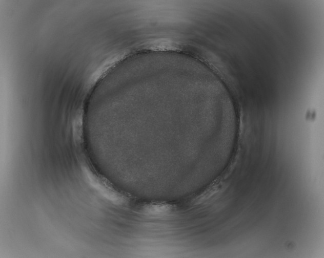 X0000112850202200909111453