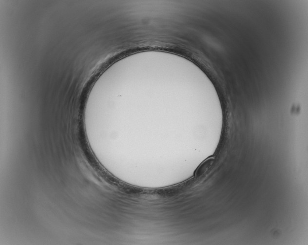 X0000112850203200909111453