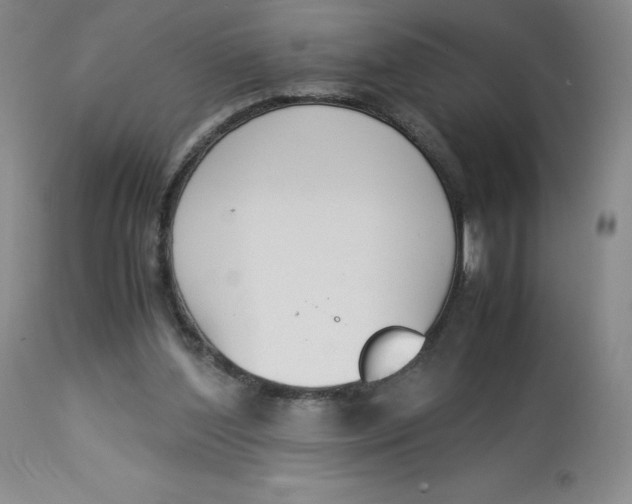 X0000112850204200909111453