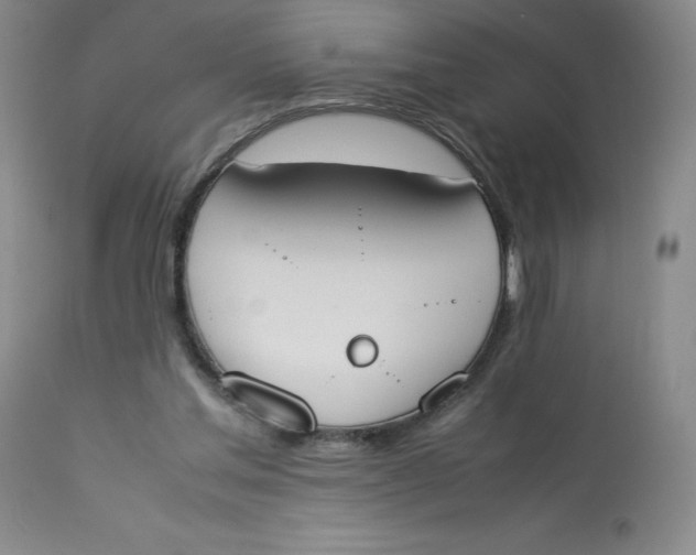 X0000112850205200909111453