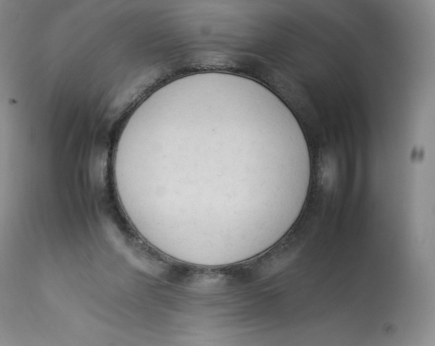 X0000112850206200909111453