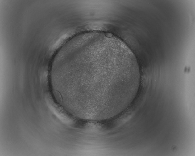 X0000112850207200909111453