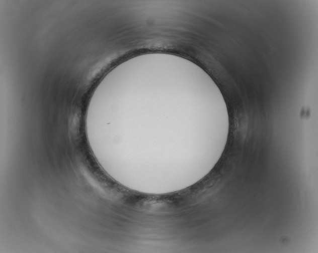 X0000112850208200909111453