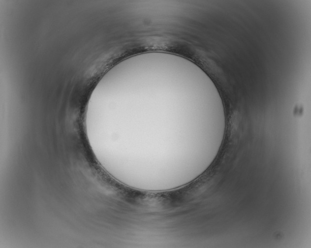 X0000112850209200909111453