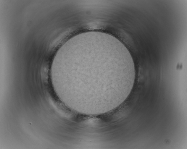 X0000112850210200909111453