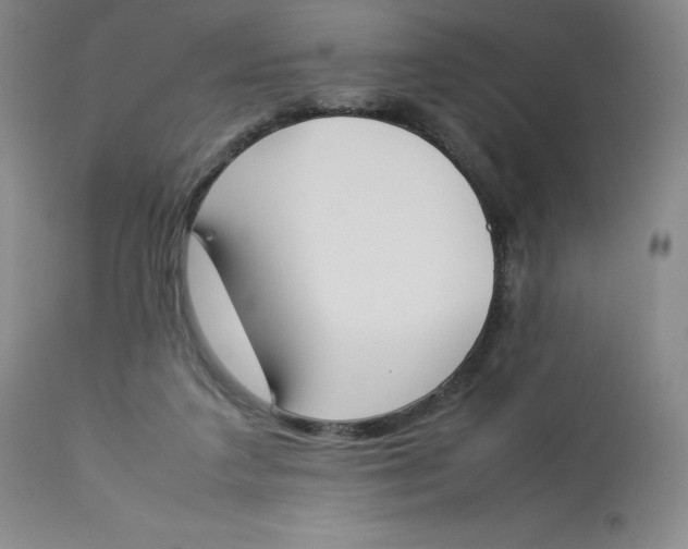 X0000112850211200909111453