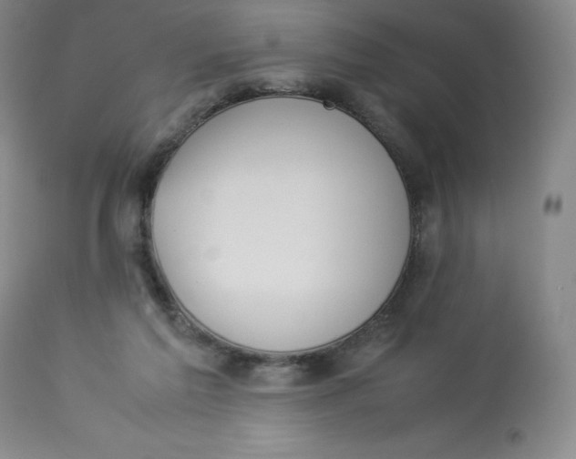 X0000112850213200909111453