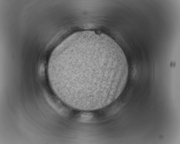 X0000112850214200909111453