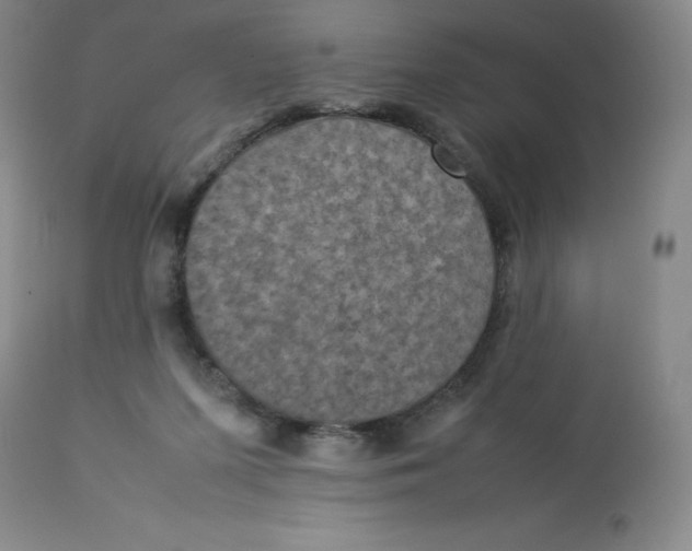 X0000112850215200909111453