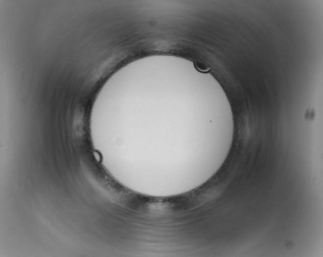 X0000112850216200909111453