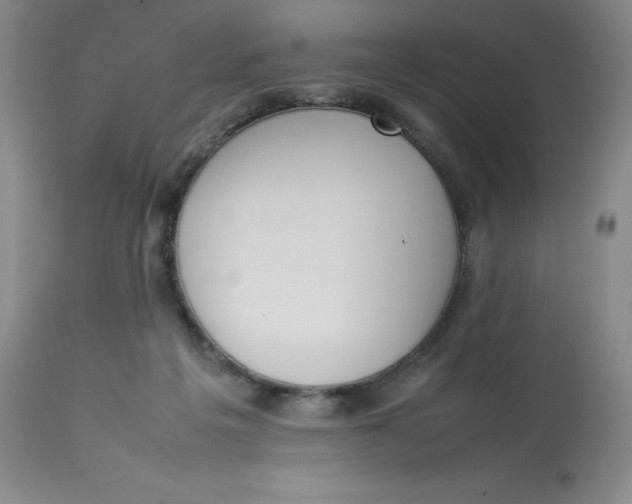 X0000112850217200909111453