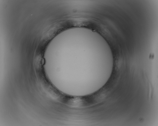 X0000112850219200909111453